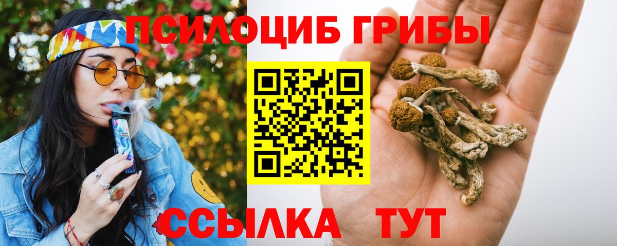 Заинск  Псилоцибиновые грибы MAGIC MUSHROOMS  Вход с VPN 